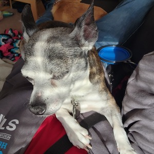 Fundraising Page: Nathan Reckamp